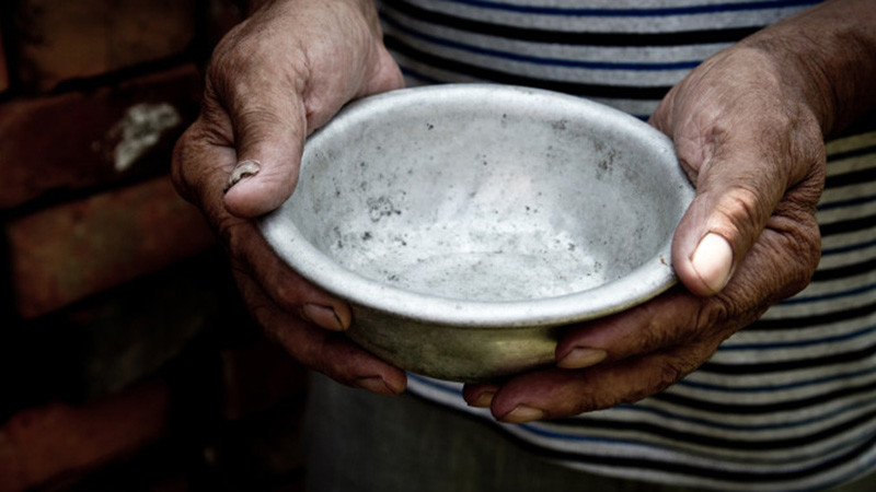 Снимка: ООН: 783 милиона са изправени пред хроничен глад, а светът изхвърля 19% от храната си