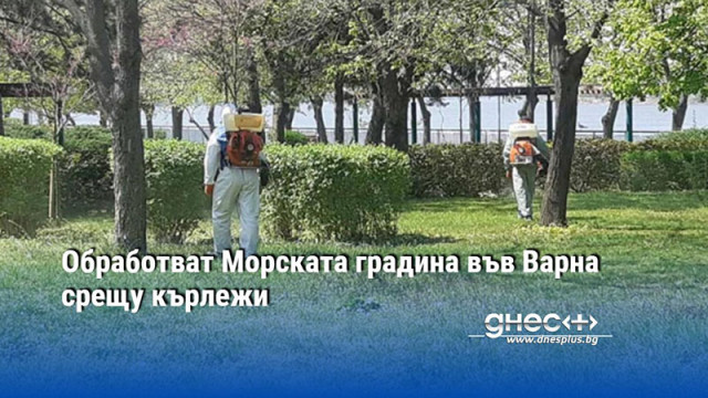 Обработват Морската градина във Варна срещу кърлежи