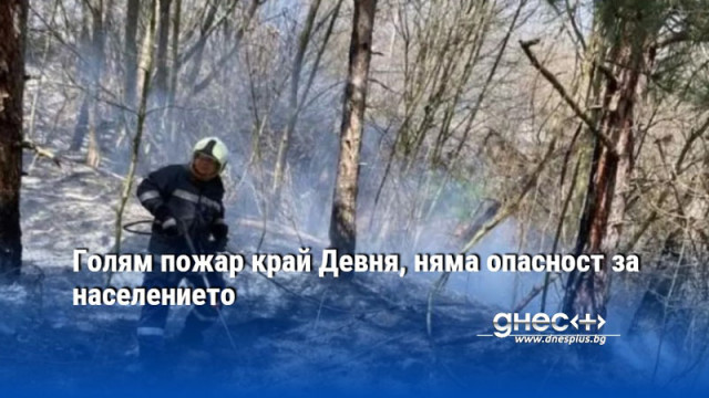 Голям пожар край Девня, няма опасност за населението (ВИДЕО)