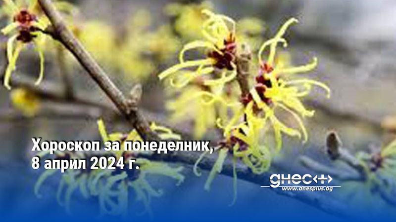 Хороскоп за понеделник, 8 април 2024 г.