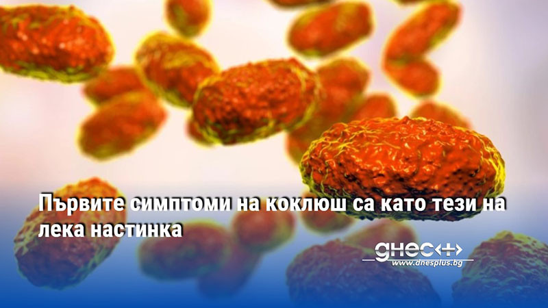 Първите симптоми на коклюш са като тези на лека настинка