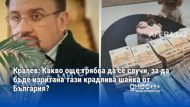 Кралев: Какво още трябва да се случи, за да бъде изритана тази крадлива шайка от България?