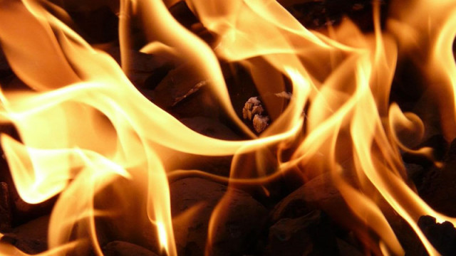 Общо 92 пожара са потушени в страната за последното денонощие