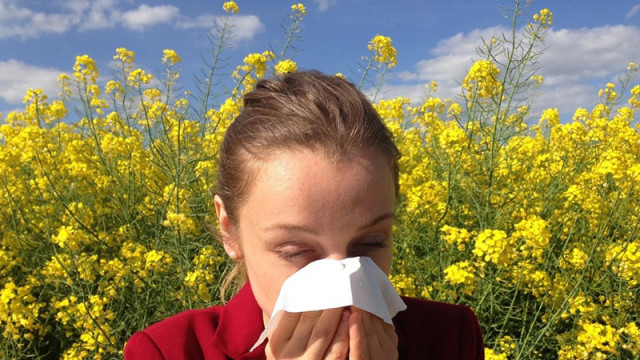 Алергиите причиняват умора, но има начини да я облекчим