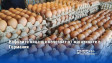 Кафявите яйца ще изчезнат от магазините в Германия