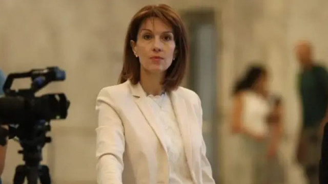 Камелия Нейкова: ЦИК отдавна настоява за български софтуер за изборите