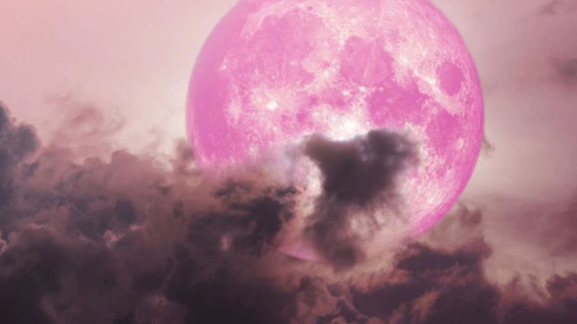 Розова луна ще освети небето