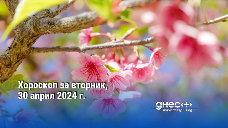 Хороскоп за вторник, 30 април 2024 г.