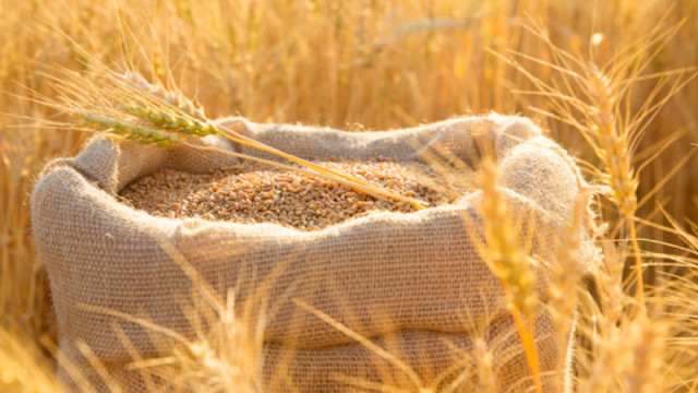 Цените на пшеницата и царевицата са се повишили на световните