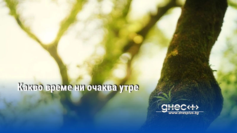 Какво време ни очаква утре