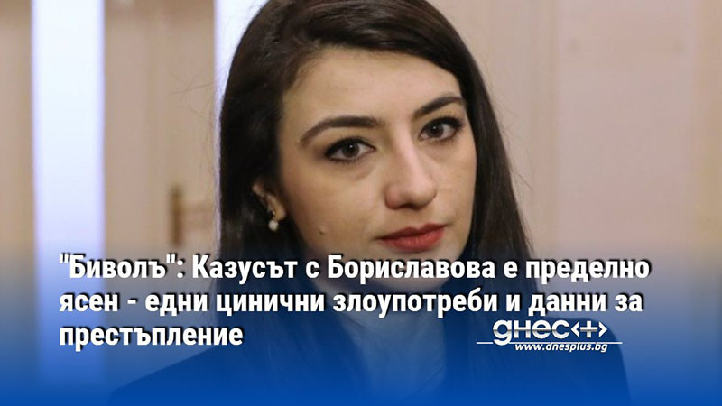 Въпрос към Лена Бориславова: Получавала ли сте официално пълномощно от