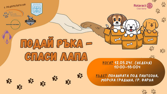 Кампания под надслов „Подай ръка – спаси лапа“ ще се проведе във Варна