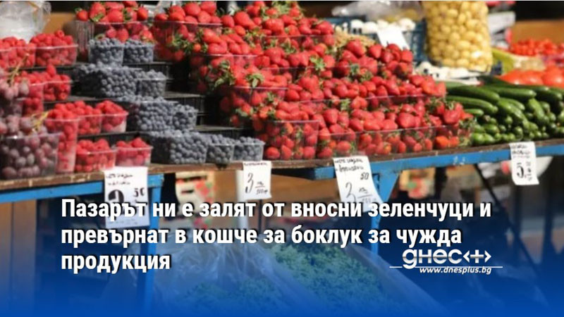 Пазарът ни е залят от вносни зеленчуци и превърнат в кошче за боклук за чужда продукция