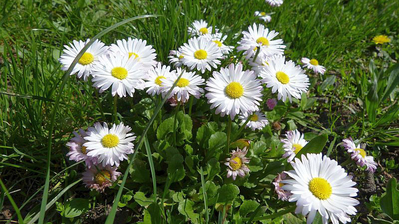 Слънчев и топъл Великден