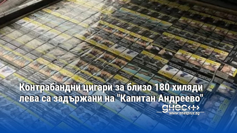 Общо 571 200 къса (28 560 кутии) контрабандни цигари, укрити