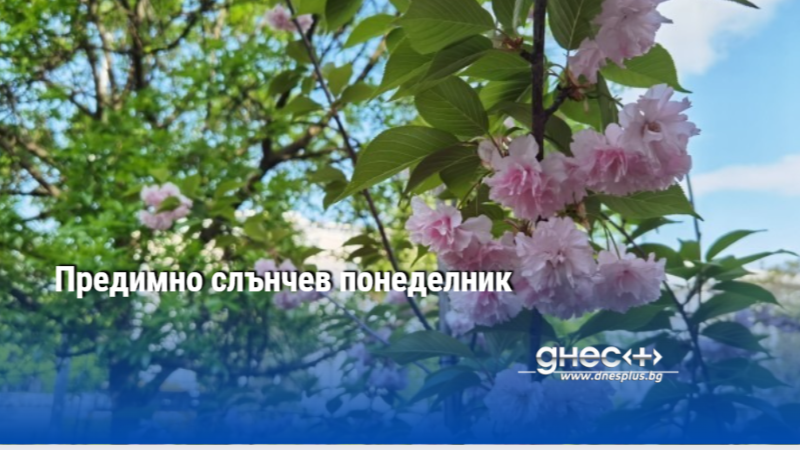 Предимно слънчев понеделник