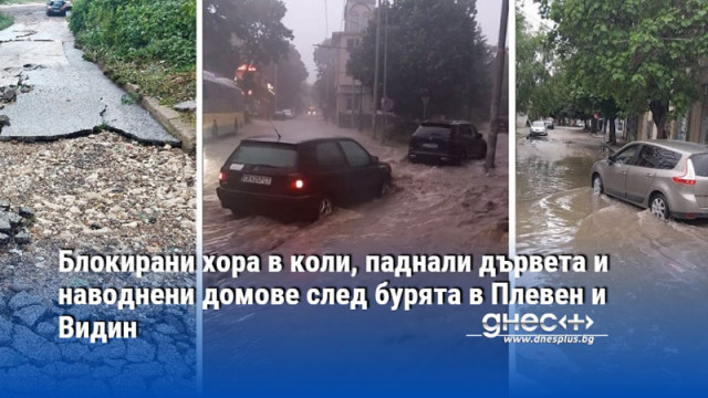 Блокирани хора в коли, паднали дървета и наводнени домове след бурята в Плевен и Видин