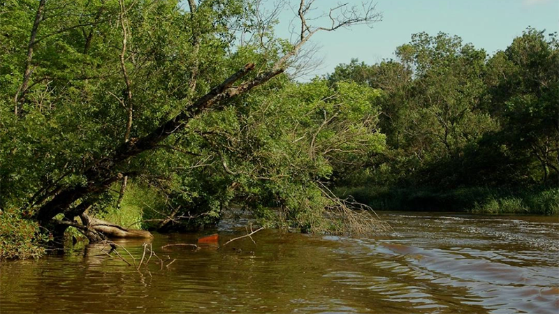 Пожарникари спасиха две момчета, попаднали във водовъртеж край Плевен