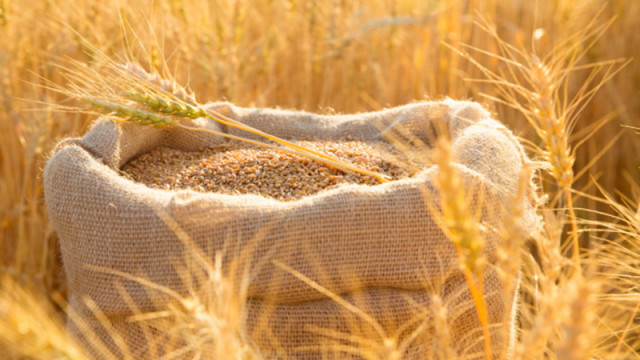 Цените на зърнените стоки бележат слаб ръст по борсите