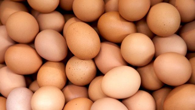 БАБХ затвори обекти и спря продажбата на 200 000 яйца
