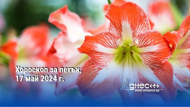 Хороскоп за петък, 17 май 2024 г.