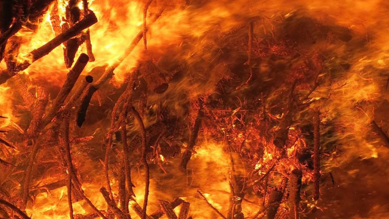 Потушени са 24 пожара за изминалото денонощие в страната. Това