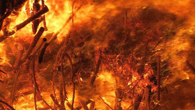 Потушени са 24 пожара за изминалото денонощие в страната