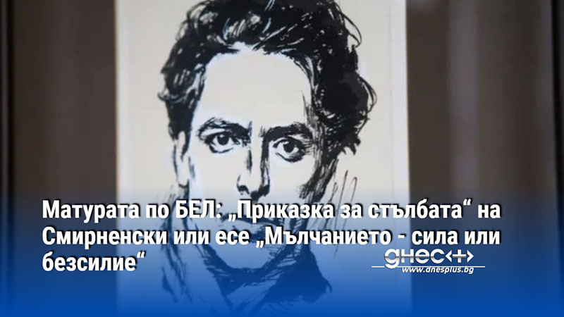 Матурата по БЕЛ: „Приказка за стълбата“ на Смирненски или есе „Мълчанието - сила или безсилие“