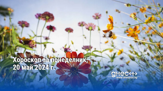 Хороскоп за понеделник, 20 май 2024 г.