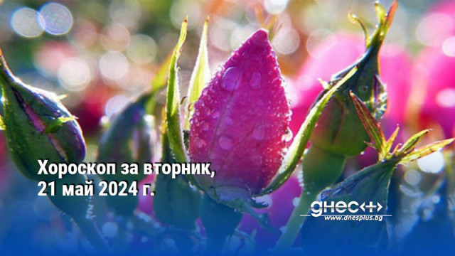 Хороскоп за вторник, 21 май 2024 г.