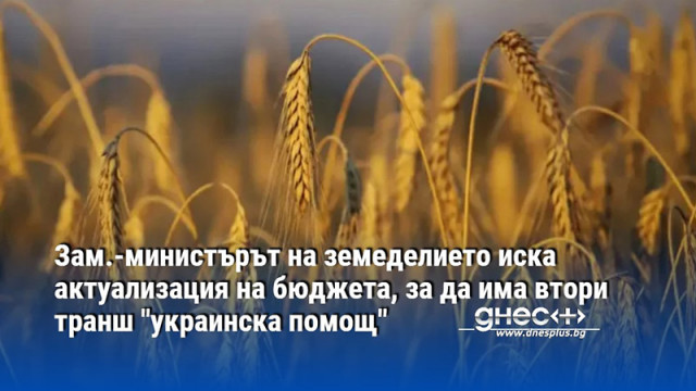 Зам.-министърът на земеделието иска актуализация на бюджета, за да има втори транш "украинска помощ"