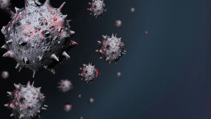 Китайски учени създадоха нов вирус, наподобяващ ебола, който може да