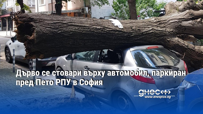 Дърво се стовари върху автомобил, паркиран пред Пето РПУ в София