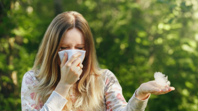1 3 от населението в света страда от алергични заболявания Все
