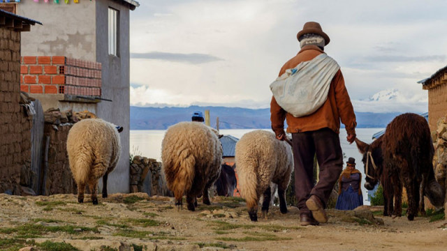 Високопланинският район на Боливия е засегнат от явленията Ла Ниня