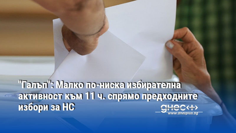 "Галъп": Малко по-ниска избирателна активност към 11 ч. спрямо предходните избори за НС