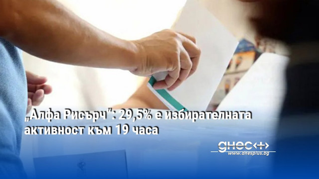 „Алфа Рисърч“: 29,5% е избирателната активност към 19 часа