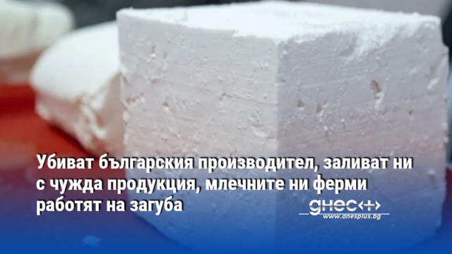 България внася ударно мляко и млечни продукти от Румъния Това