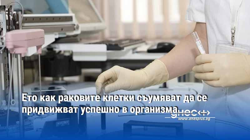 Ето как раковите клетки съумяват да се придвижват успешно в организма