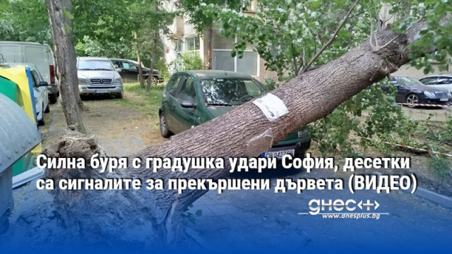 Силна буря с градушка удари София, десетки са сигналите за прекършени дървета (ВИДЕО)