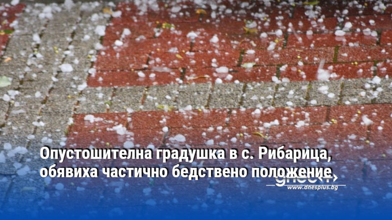 Опустошителна градушка в с. Рибарица, обявиха частично бедствено положение