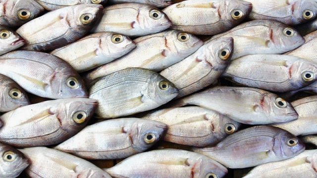 Консумацията на малки риби които се приемат цели намалява риска