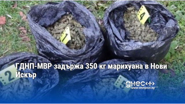 ГДНП-МВР задържа 350 кг марихуана в Нови Искър