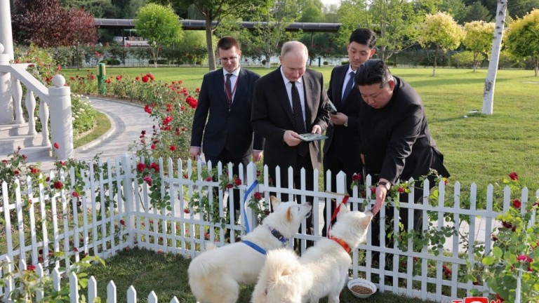Ким подари на Путин двойка ловни кучета от местна порода