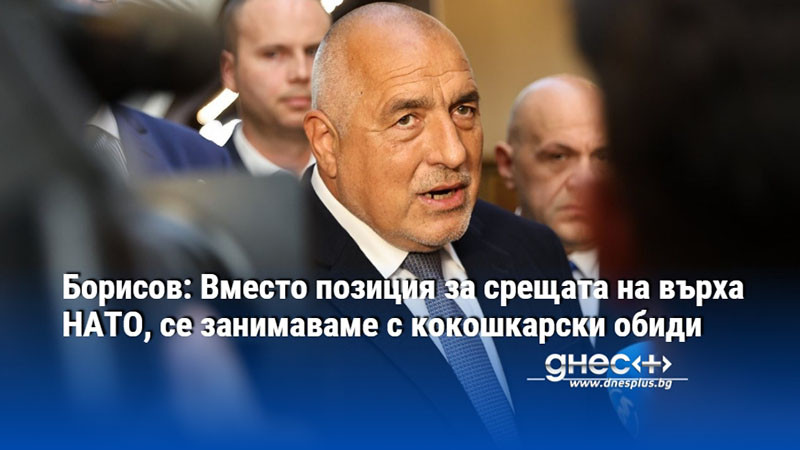 Борисов: Вместо позиция за срещата на върха НАТО, се занимаваме с кокошкарски обиди