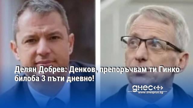 Борисов те избра за премиер не те свали Гинко билоба