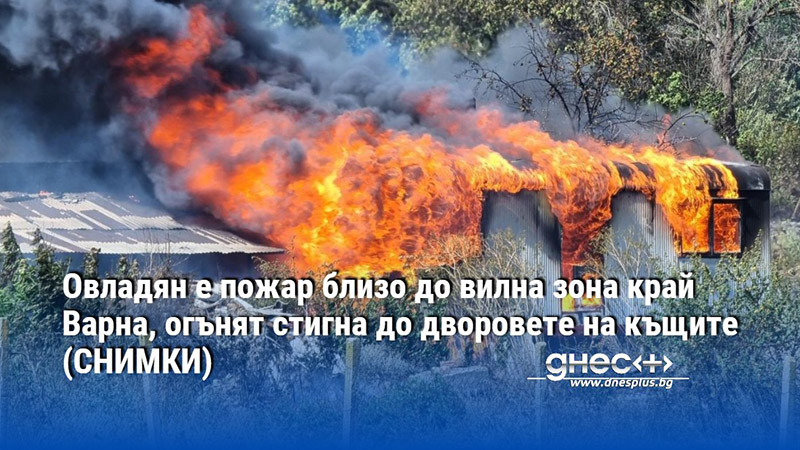 Овладян е пожар близо до вилна зона край Варна, огънят стигна до дворовете на къщите (СНИМКИ)