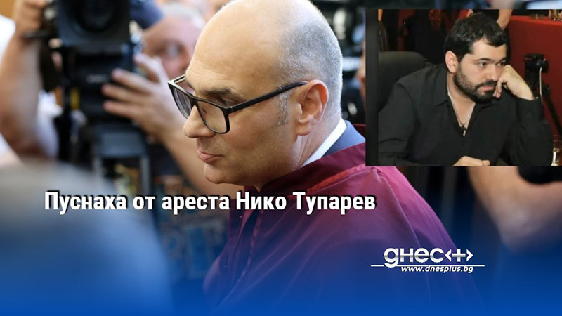 Пуснаха от ареста Нико Тупарев
