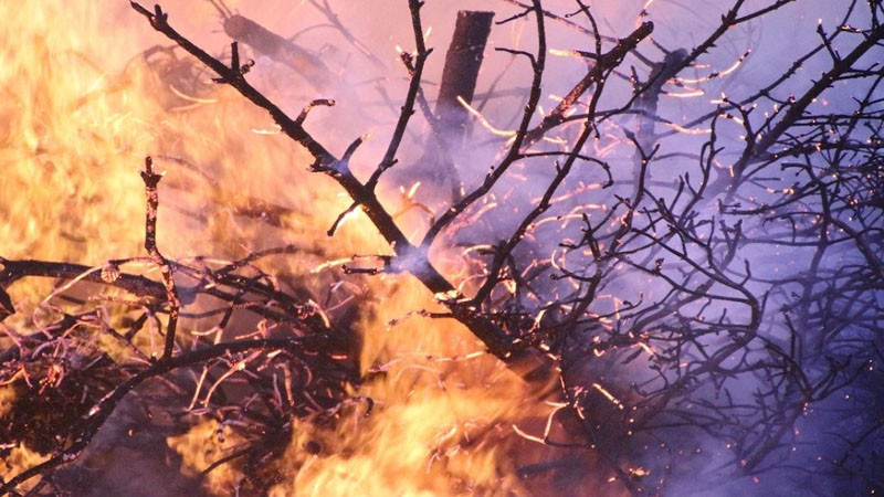 Над 85 % от пожарите се дължат на човешка грешка и умишлено запалване на стърнища