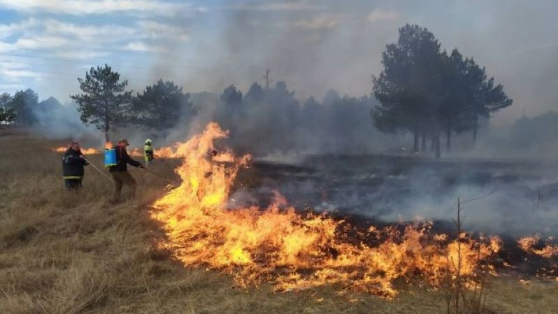 Пожар в гората край Синдел, изгоря къща в ромската махала